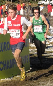 vitner 3